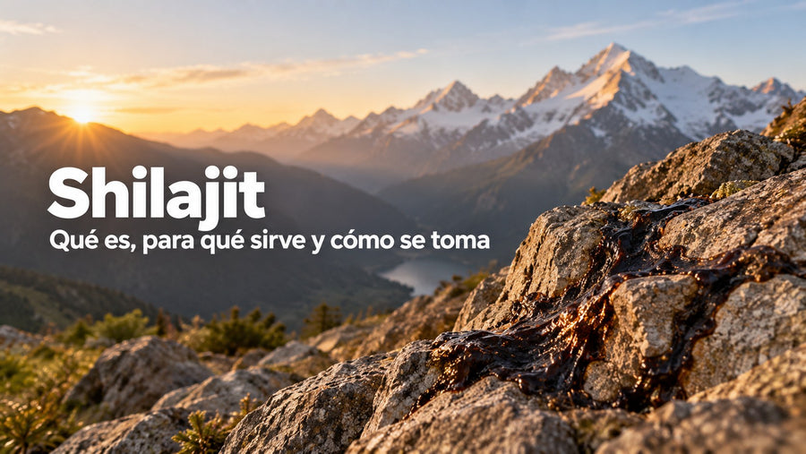 Shilajit: qué es, para qué sirve y cómo se toma