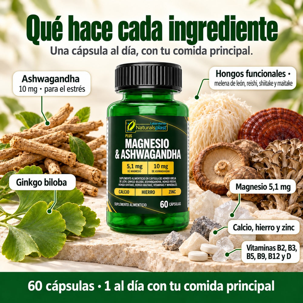 Qué hace cada ingrediente del Magnesio + Ashwagandha: magnesio 5,1 mg, ashwagandha 10 mg, hongos funcionales, ginkgo biloba, calcio, hierro, zinc y vitaminas B2, B3, B5, B9, B12 y D