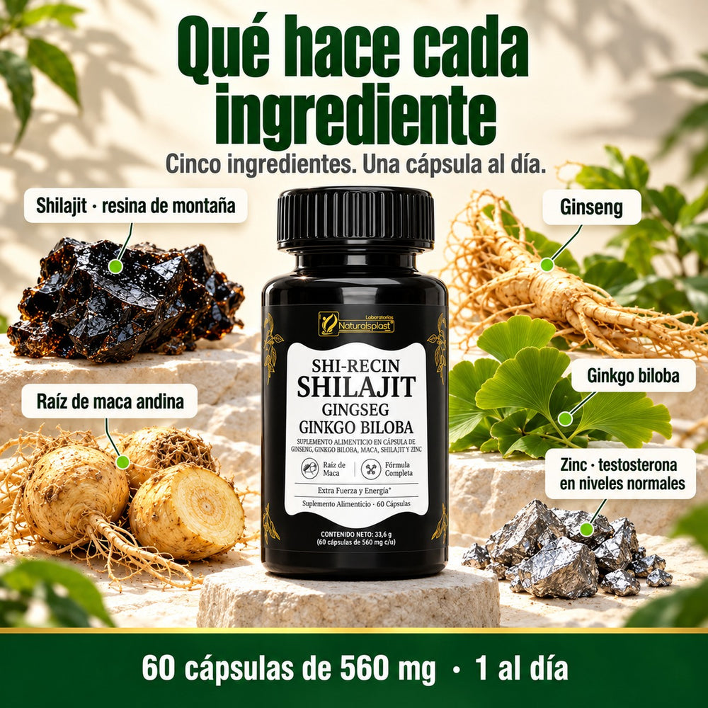 Qué hace cada ingrediente de Shi-Recin Shilajit: shilajit, ginseng, ginkgo biloba, raíz de maca y zinc