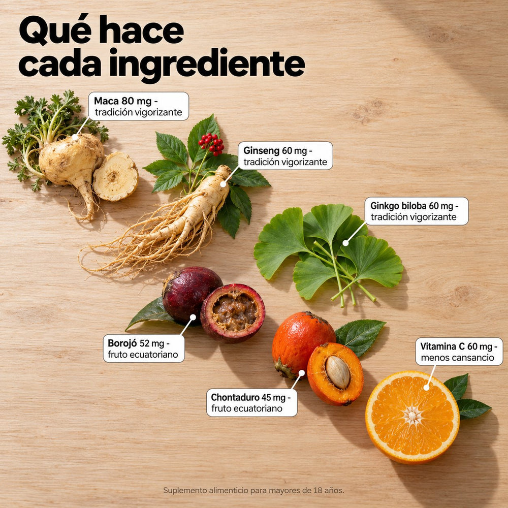 Qué hace cada ingrediente de Vithor: maca, ginseng, ginkgo, borojó, chontaduro y vitamina C