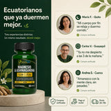 Magnesio + Ashwagandha — Fórmula 2 en 1 7