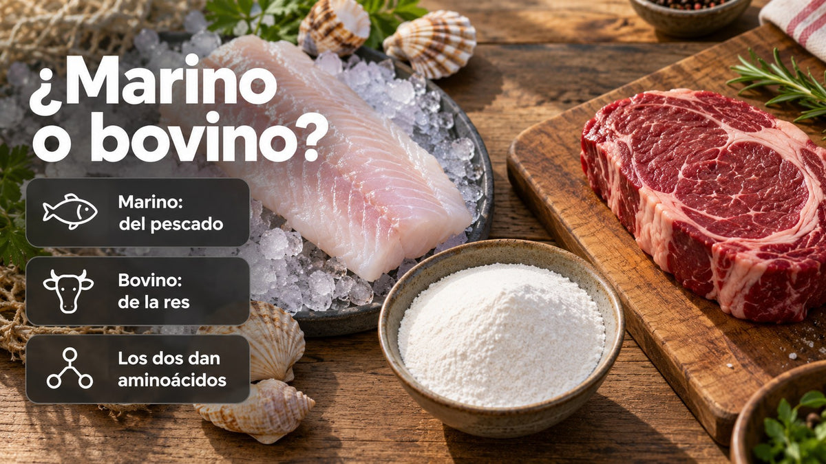 Pescado y carne de res, las dos fuentes del colágeno hidrolizado