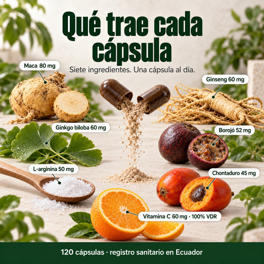 Qué trae cada cápsula de Kings: maca 80 mg, ginseng 60 mg, ginkgo biloba 60 mg, borojó 52 mg, L-arginina 50 mg, chontaduro 45 mg y vitamina C 60 mg