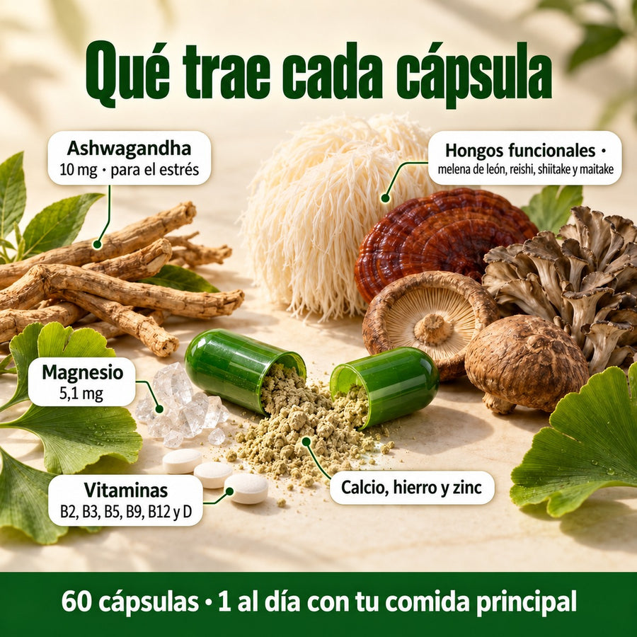 Qué trae cada cápsula de Magnesio + Ashwagandha: magnesio 5,1 mg, ashwagandha 10 mg, hongos funcionales, calcio, hierro, zinc y vitaminas B2, B3, B5, B9, B12 y D