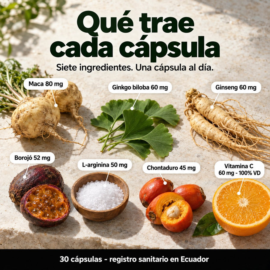 Qué trae cada cápsula de Vithor: maca 80 mg, ginkgo 60 mg, ginseng 60 mg, borojó 52 mg, L-arginina 50 mg, chontaduro 45 mg y vitamina C 60 mg